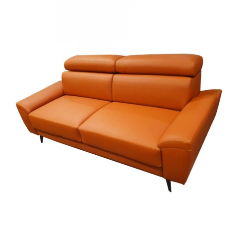 Leather Sofa (3